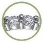 Shared Prong