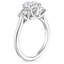 Platinum Catalina Three Stone Diamond Ring (1/2 ct. tw.), smallside view
