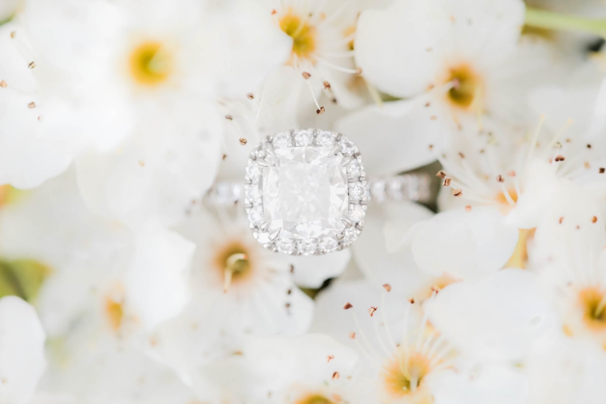 10 Beautiful Flower Engagement Rings Brilliant Earth Blog