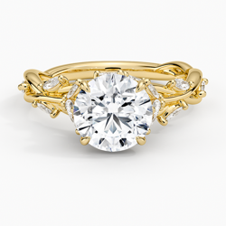 Secret Garden Diamond Ring (1/2 ct. tw.) Secret Garden Diamond Ring (1/2 ct. tw.)