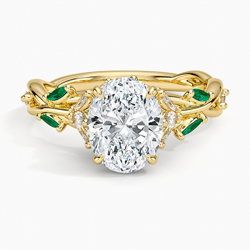 プリム王子 Primrose Diamond Ring in 18K Yellow Gold | Brilliant Earth