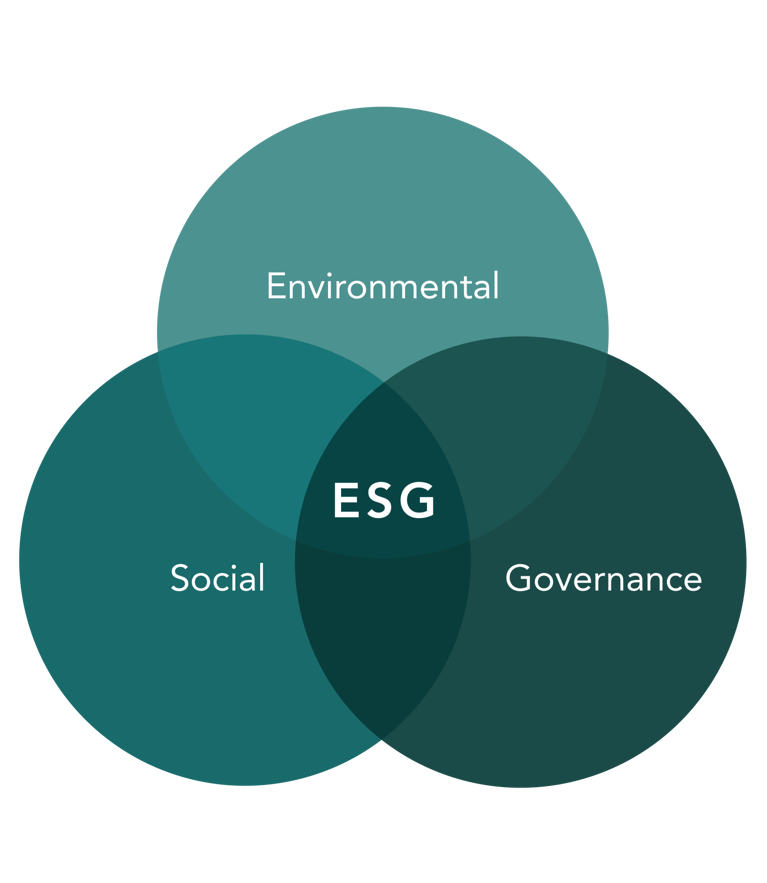 Environmental Social Governance Goals
