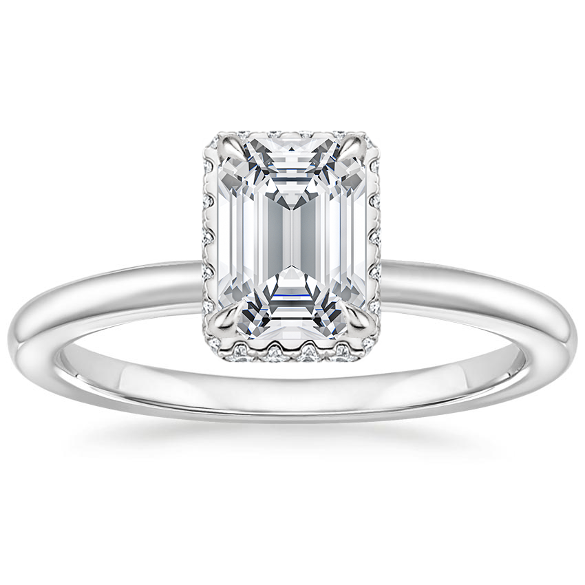 Double Hidden Halo Plain Band Setting Brilliant Earth