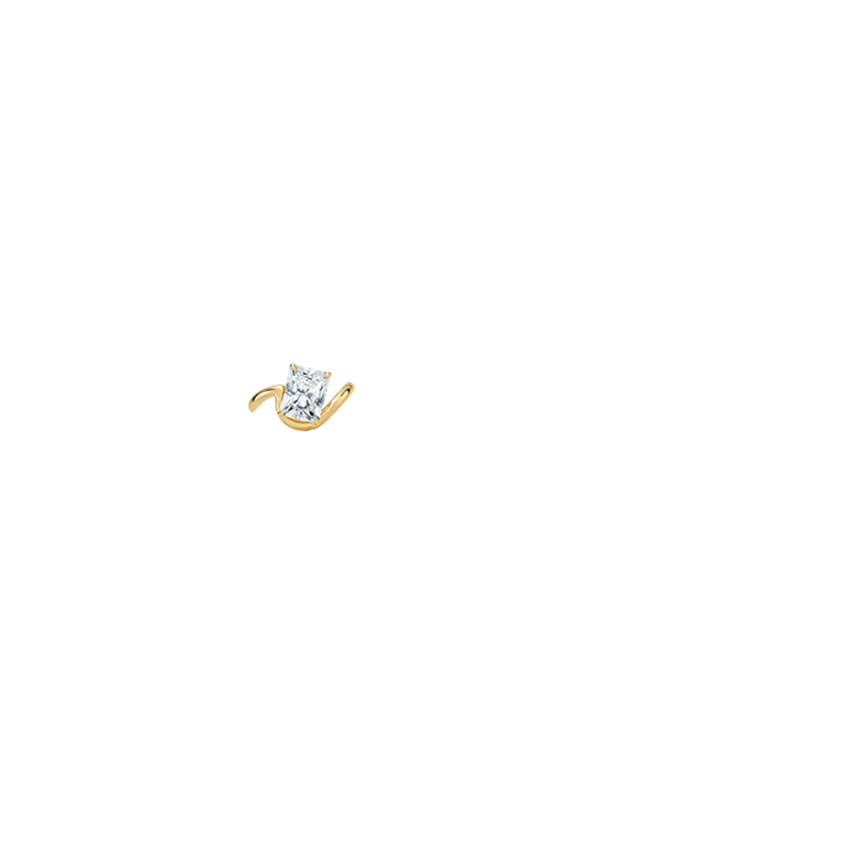 Ring on Hand
