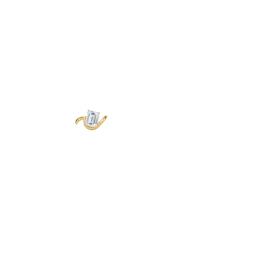 Ring on Hand