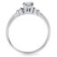 The Leslie Ring, smallside view