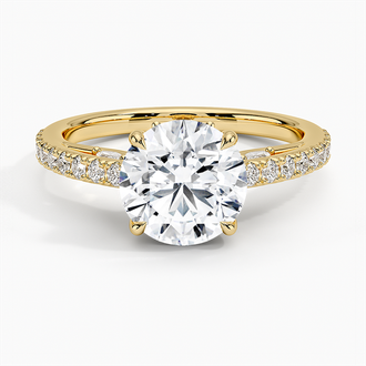 18K Yellow Gold Secret Garden Adorned Gallery Diamond Ring (1/2 ct. tw.)
