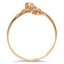 The Denna Ring, smallside view