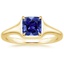 Yellow Gold Sapphire Insignia Ring