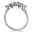 The Liza Ring, smallside view