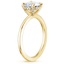 18K Yellow Gold Lumiere Diamond Ring, smallside view