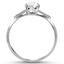 The Anthe Ring, smallside view