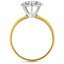 The Ziva Ring, smallside view