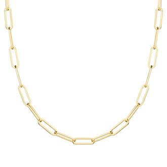 Lola Paperclip 18 in. Chain Necklace (Small)