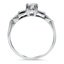The Marti Ring, smallside view