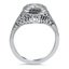 The Felixa Ring, smallside view