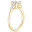 18K Yellow Gold Quinn Diamond Ring, smallside view