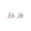 14K Rose Gold Secret Halo Diamond Stud Earrings, smalltop view