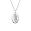 July Delphinium Birth Flower Diamond Necklace 