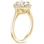 18K Yellow Gold Dahlia Diamond Ring (1/3 ct. tw.), smallside view