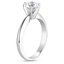 18K White Gold Six-Prong Classic Ring, smallside view