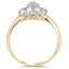 The Hadleigh Ring, smallside view