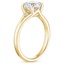 18K Yellow Gold Lena Diamond Ring, smallside view