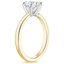 18K Yellow Gold Six-Prong 2mm Comfort Fit Ring, smallside view