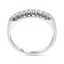 The Pavana Ring, smallside view