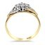 The Aderes Ring, smallside view