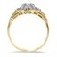 The Carlee Ring, smallside view