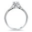 The Tierney Ring, smallside view