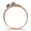 The Sparkle Ring, smallside view