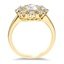 Vintage Style Cluster Halo Diamond Ring, smallside view