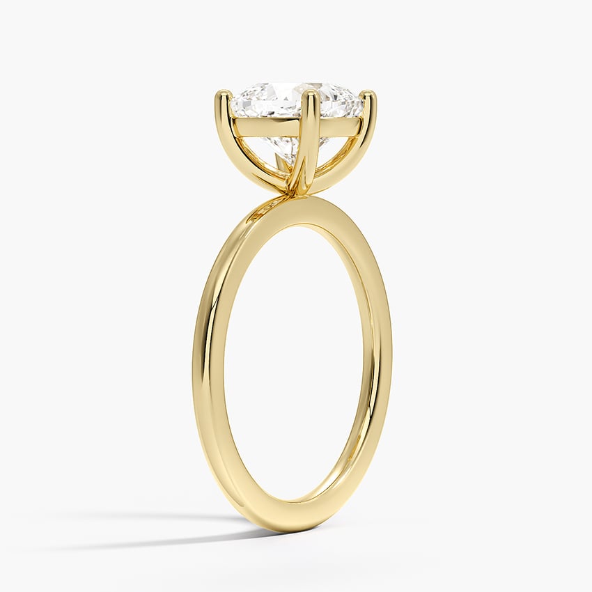Flush Fit Solitaire Ring- Brilliant Earth