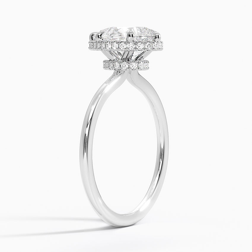 Double Hidden Halo Plain Band Setting Brilliant Earth