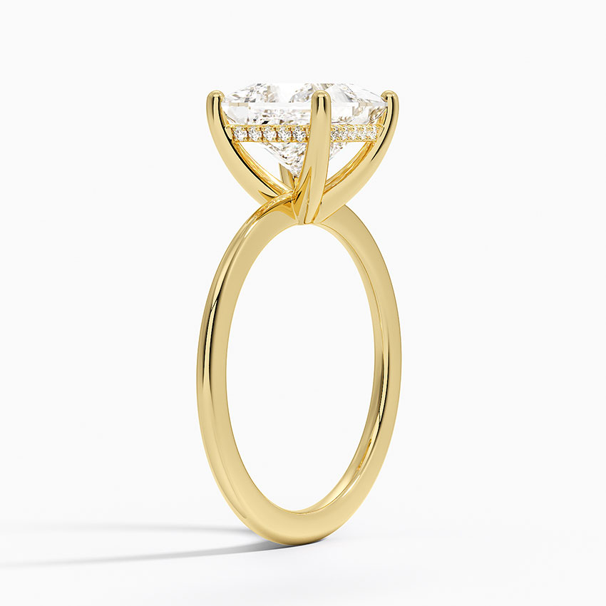 Aimee Hidden Halo Diamond Ring