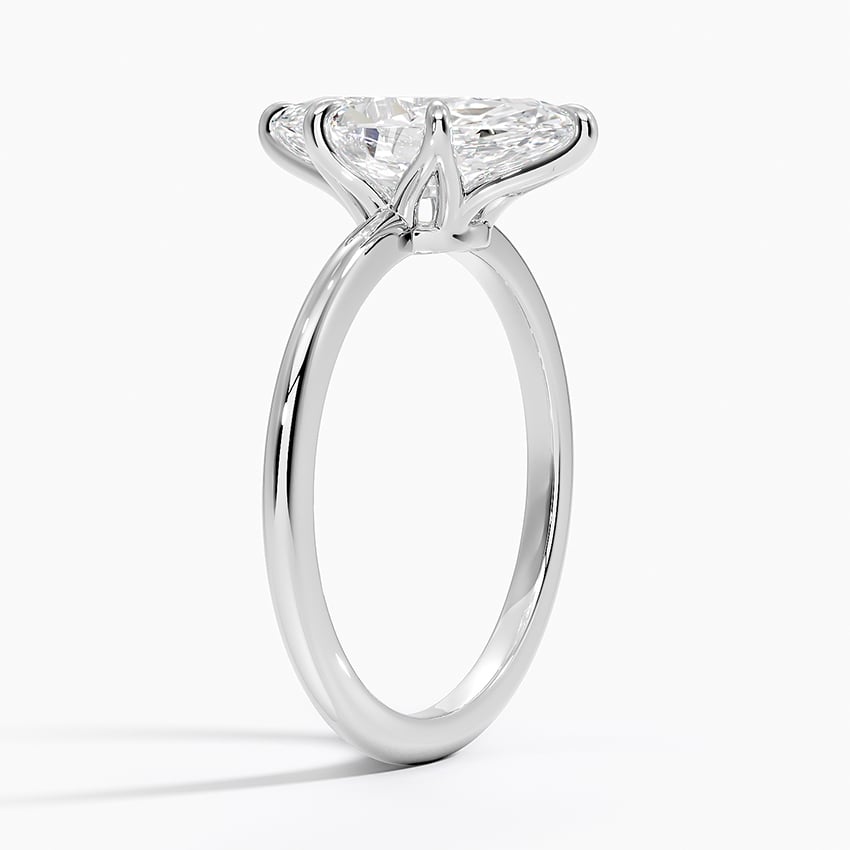 Petite Esme Solitaire Ring - Brilliant Earth