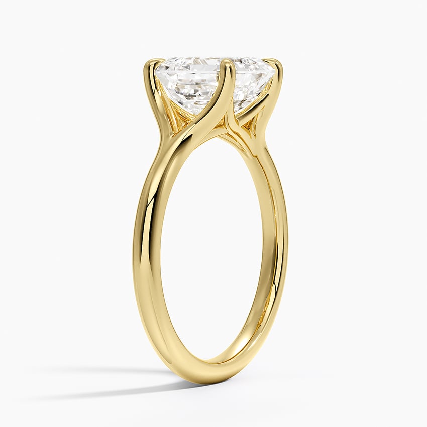Reverie Ring - Claw Prong Engagement Ring