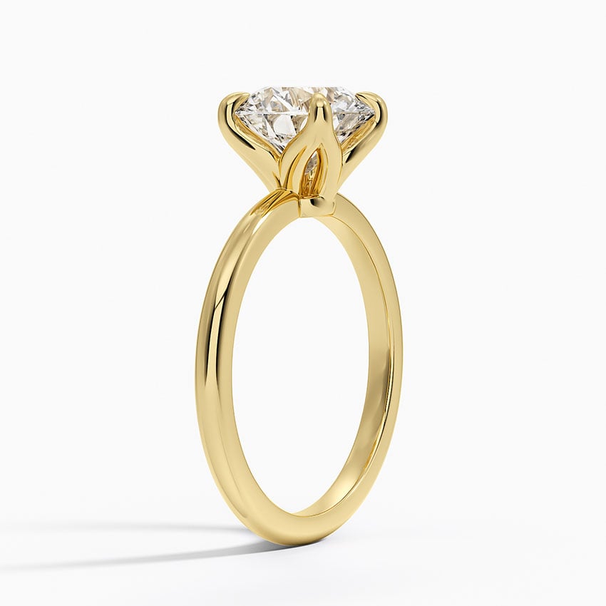 Elodie Solitaire Ring - Brilliant Earth