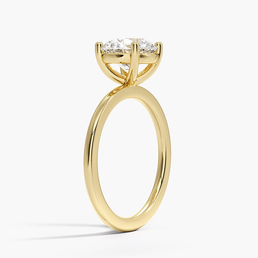 Flush Fit Solitaire Ring- Brilliant Earth