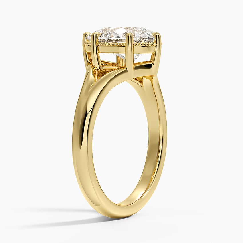 Cora Split Shank Solitaire Ring