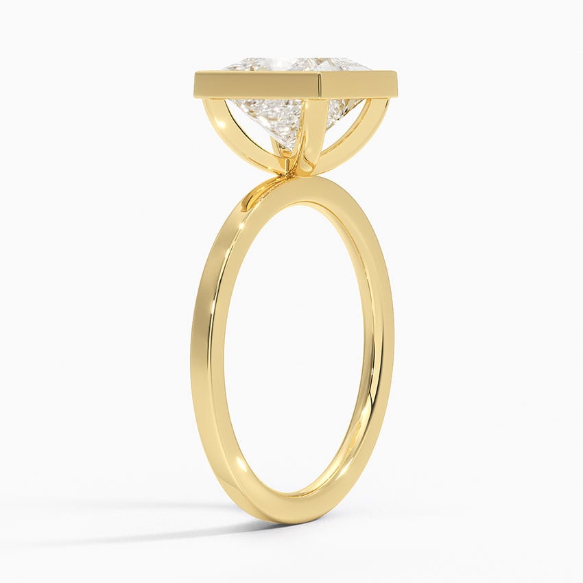 Raised Flush Set Bezel Ring