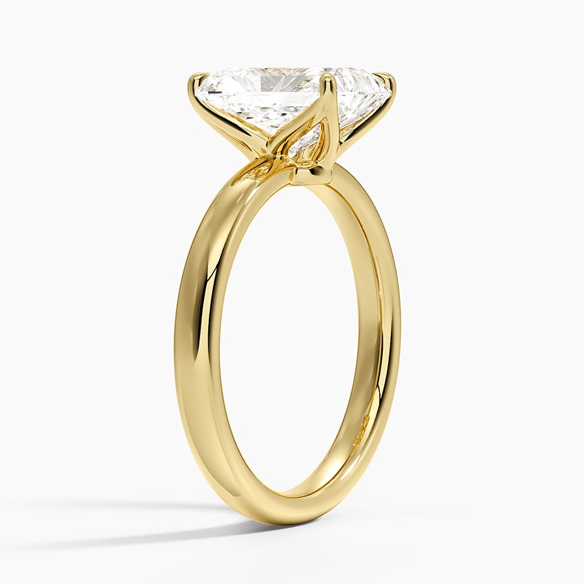 Elodie 2.5mm Ring