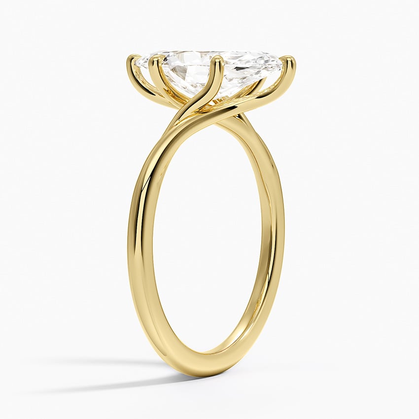 Delilah Twist Solitaire Ring - Brilliant Earth