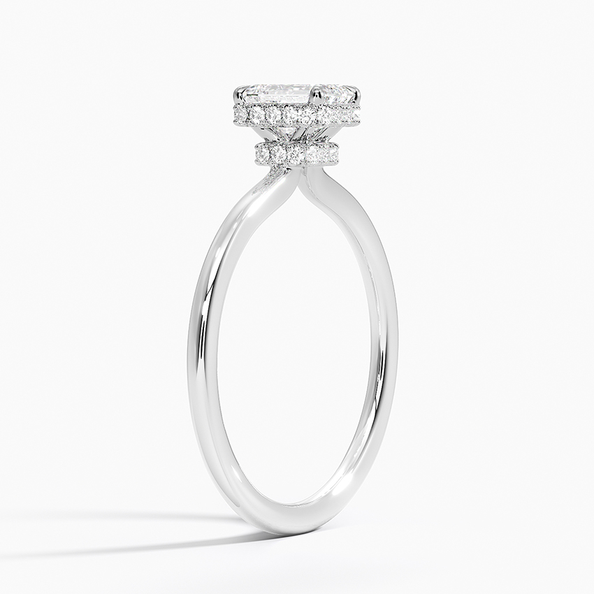 Double Hidden Halo Plain Band Setting Brilliant Earth