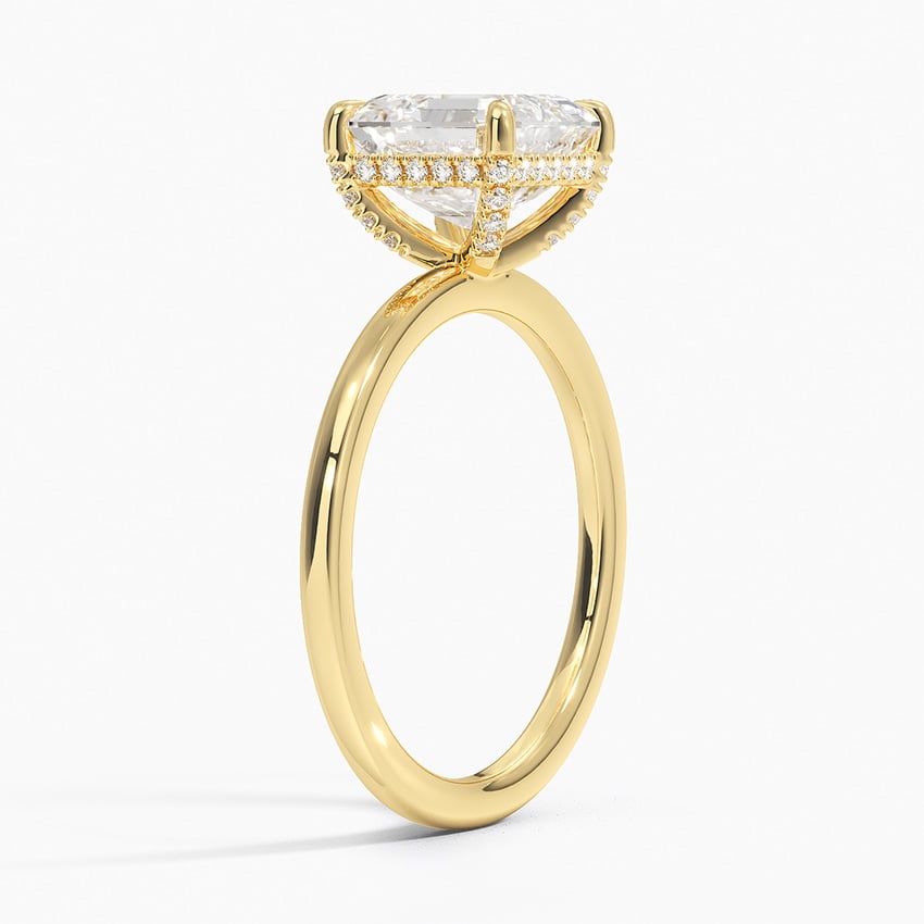 Surprise Diamond Engagement Ring Setting