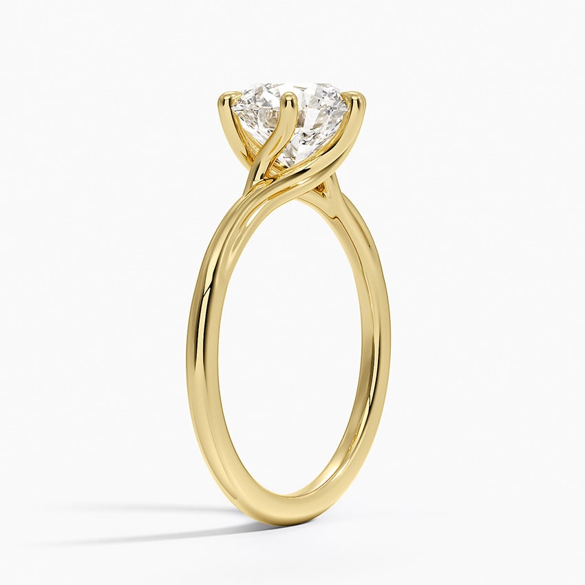 Delilah Twist Solitaire Ring - Brilliant Earth