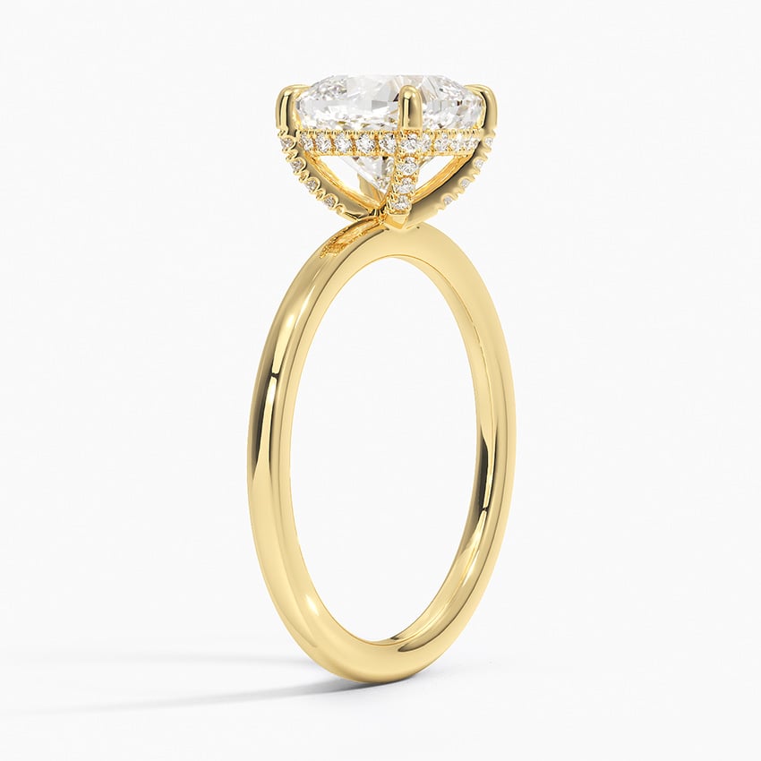 Surprise Diamond Engagement Ring Setting