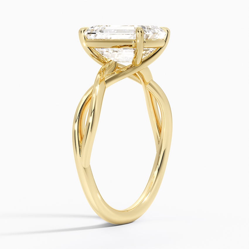 Alya Twist Solitaire Ring - Brilliant Earth